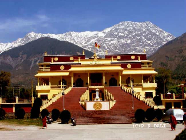 gyuto monastery dharamsala