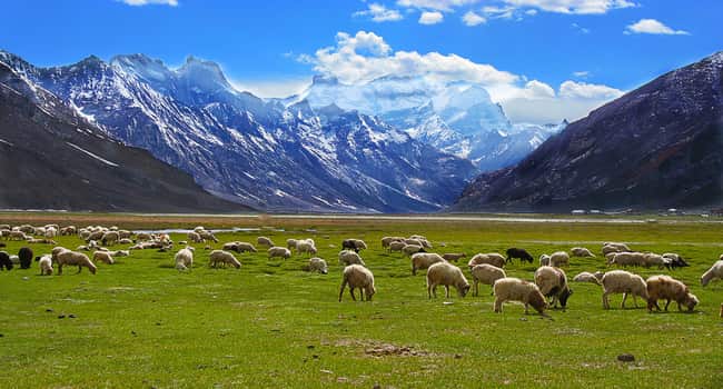 Zanskar Valley