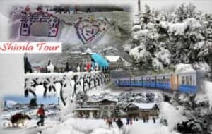 Shimla Tour