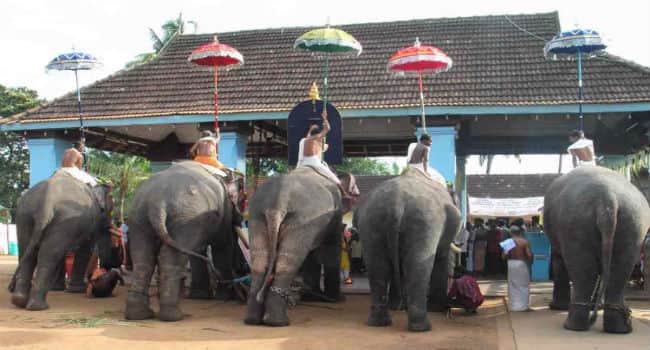 Chottanikkara Temple