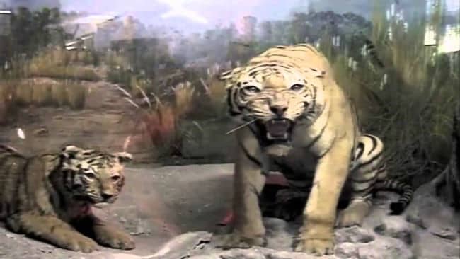 Bengal Natural History Museum