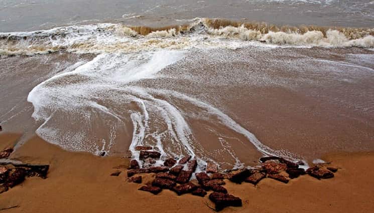 astaranga beach oriasa