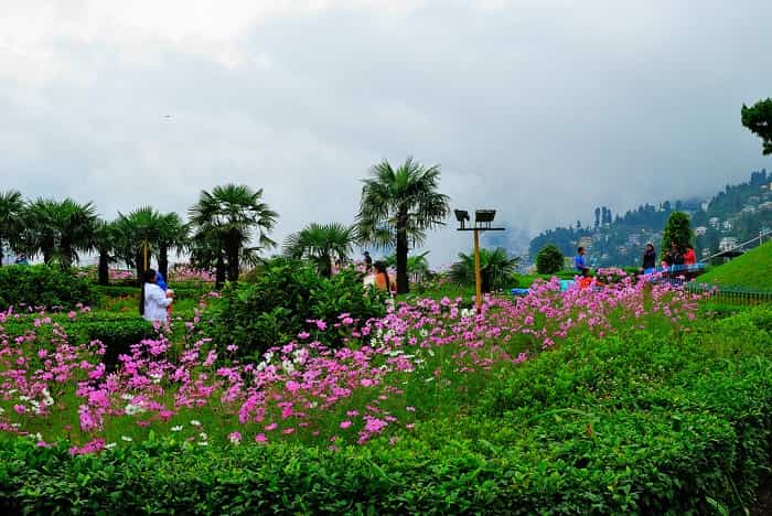 beauty-of-darjeeling