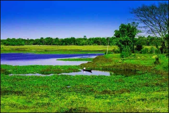 Majuli Island