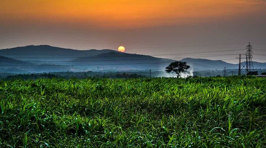 Kemmanagundi Hill Station