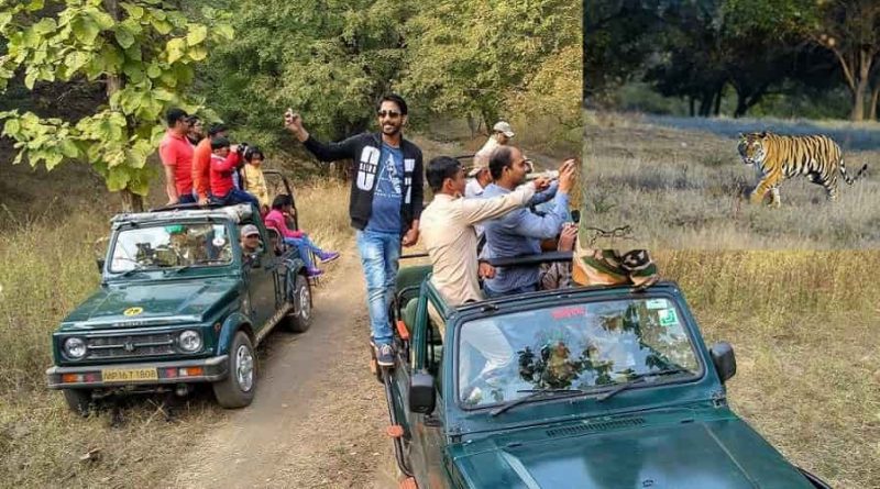 Panna National Park & Tiger Reserve, Madhya Pradesh - Things to Do