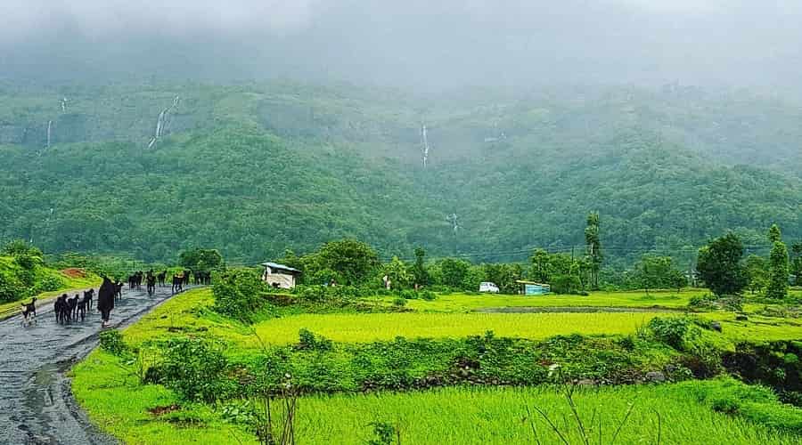 Bhandardara hill station