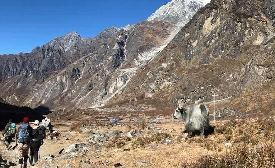 Langtang Trekking