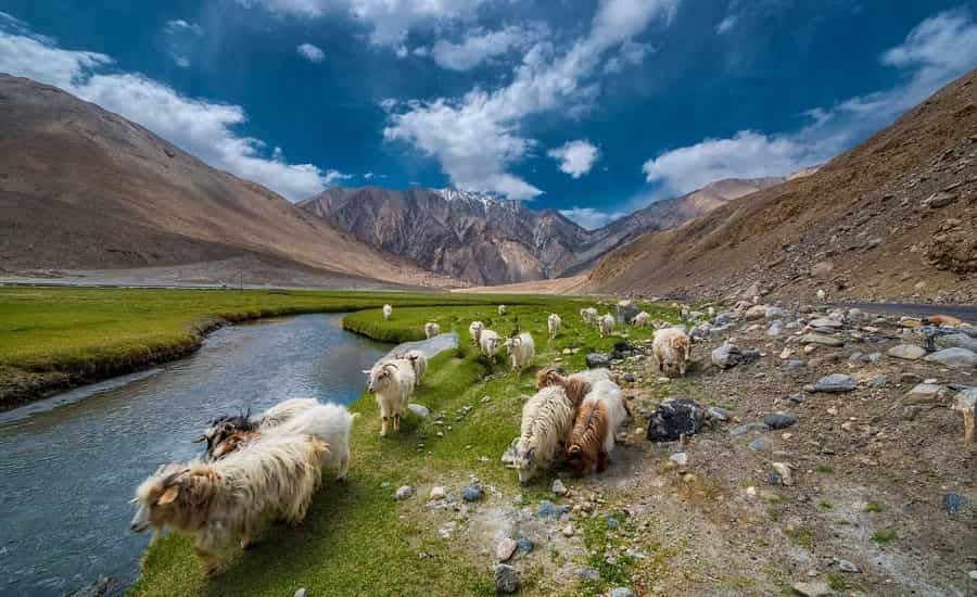 Weather in Leh Ladakh Best Time to Visit Weather, Seasons, Climates