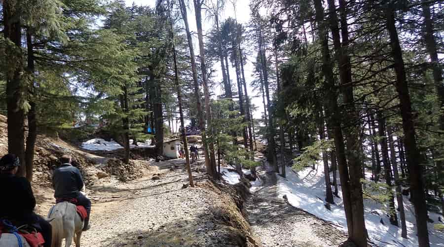 Kufri Hill Station