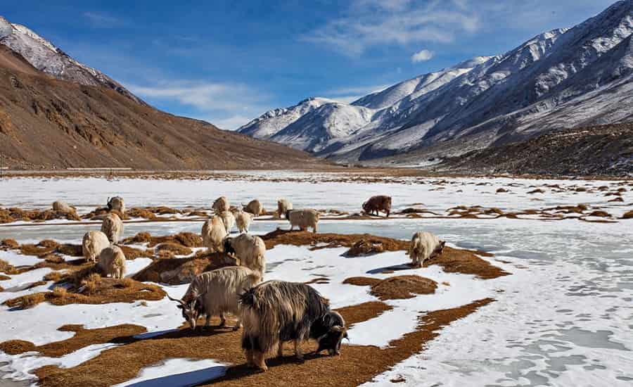 Leh Ladakh Weather