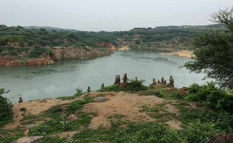 Asola Bhatti Wildlife Sanctuary