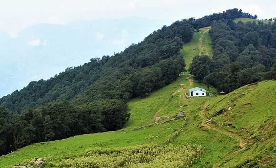 Nag Tibba Trek