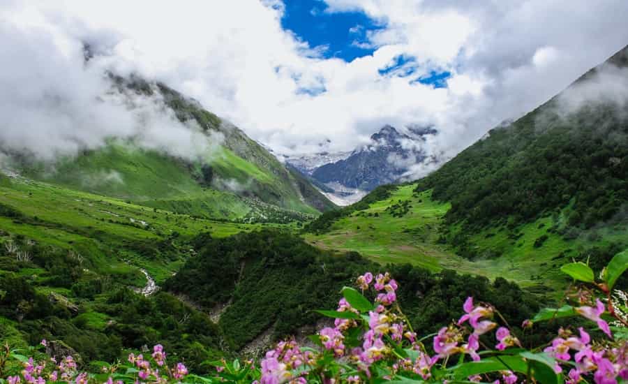 Valley of Flowers