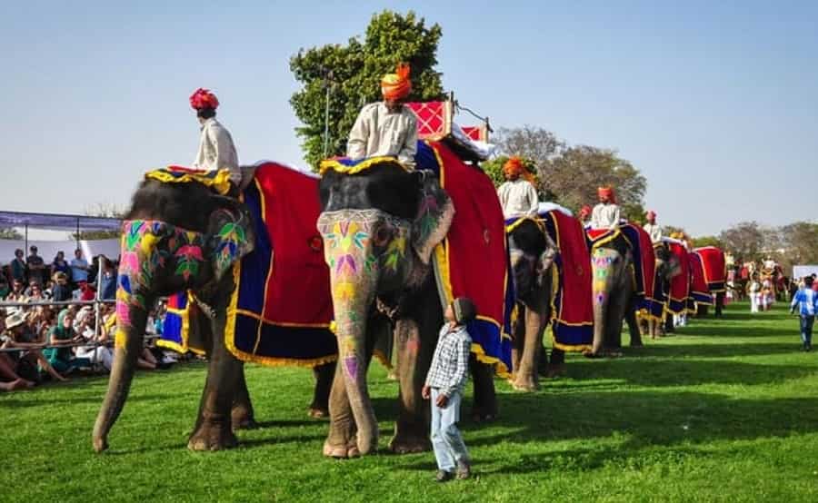 Elephant Festival, Jaipur