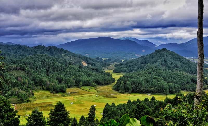 Ziro Valley
