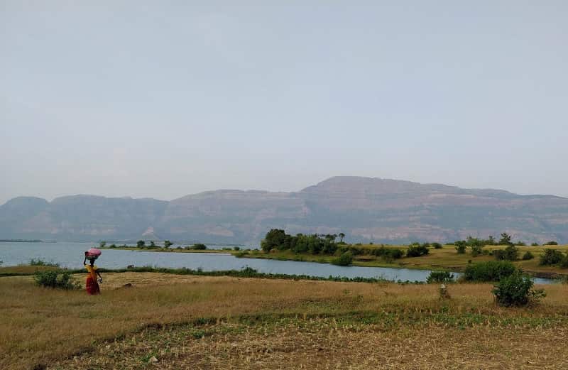 Pimpalgaon Joga Dam