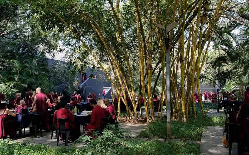 Zen Gardens Of Osho Ashram, Pune