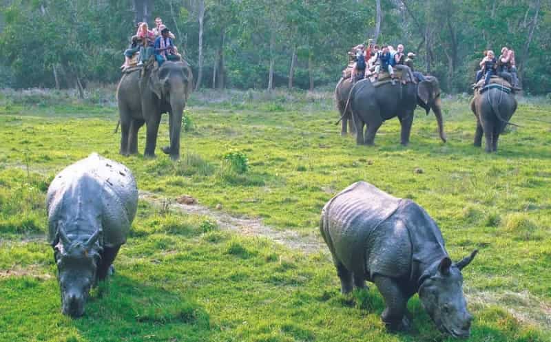 Chitwan National Park