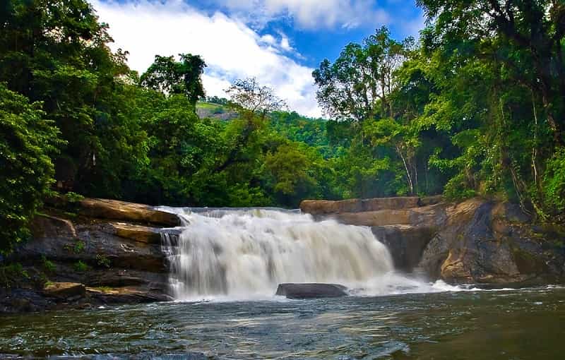 Thommankuthu Falls, Idukki