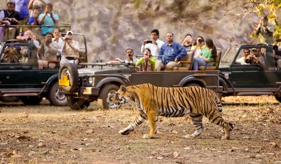 Indravati Tiger Reserve