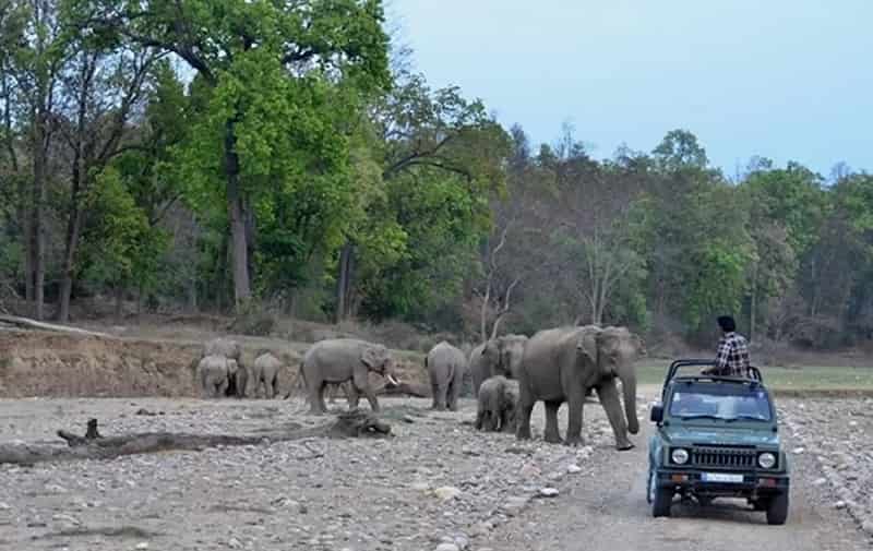 Rajaji National Park, Uttarakhand