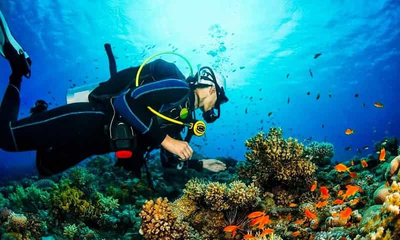 Scuba Diving in Andaman