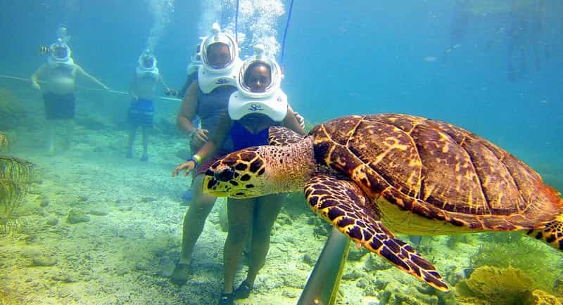 Undersea Walking in Andaman