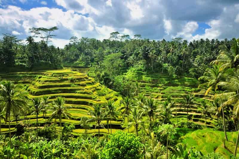 Ubud
