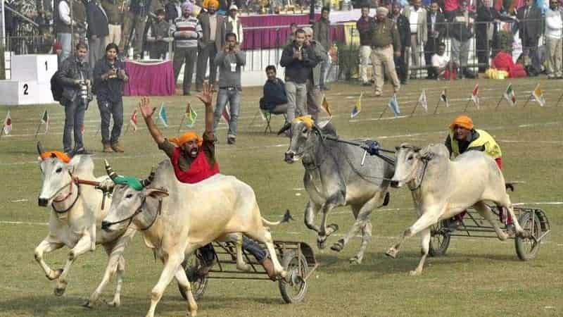 Kila Raipur Festival