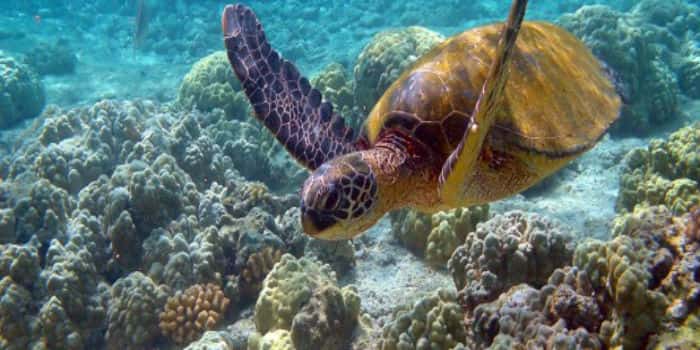 Top 20 National Parks and Wildlife Sanctuaries in Gujarat Top 20 National Parks and Wildlife Sanctuaries in Gujarat