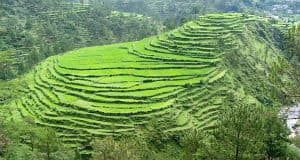 hills of kumaon trip