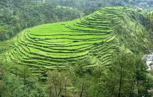 hills of kumaon trip