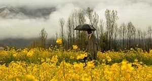 charming-kashmir-tour