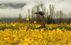 charming-kashmir-tour