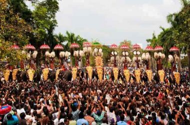 elephant-festival-in-kerala