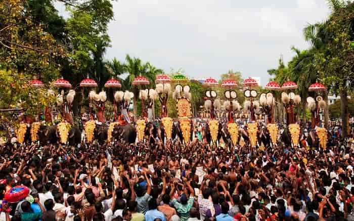 elephant-festival-in-kerala