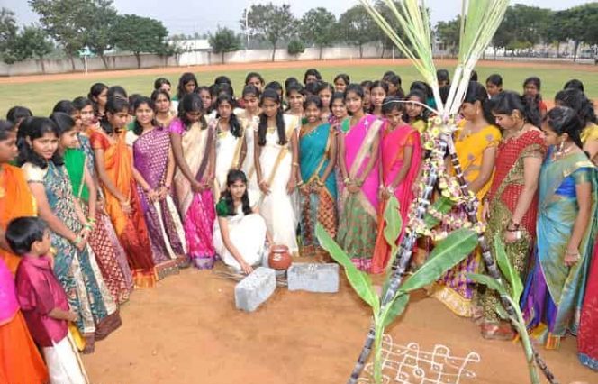 pongal-festival-celebration
