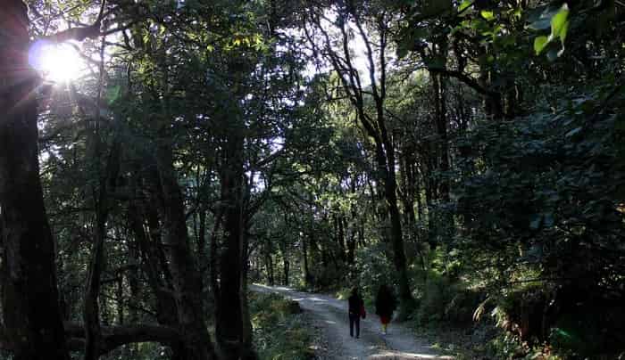 Binsar Wildlife Sanctuary