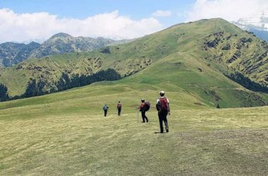 Enroute Bedini Bugyal from Ali Bugyal