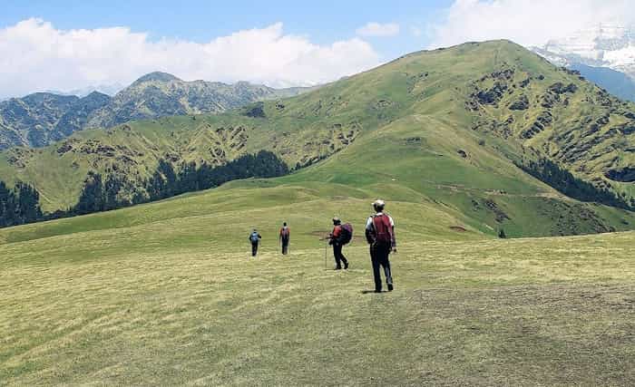 Enroute Bedini Bugyal from Ali Bugyal