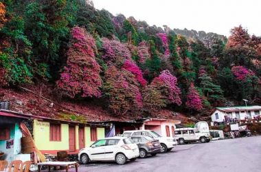Enroute Chandrashila Trek (Chopta)