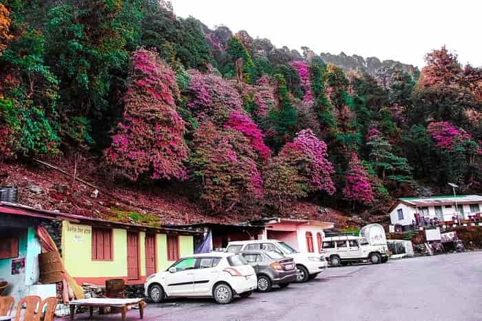 Enroute Chandrashila Trek (Chopta)