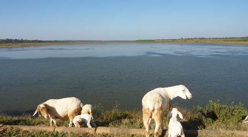 Hesaraghatta Lake