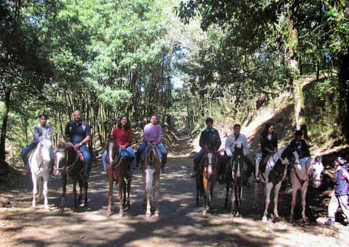 Horse Riding in Nainital