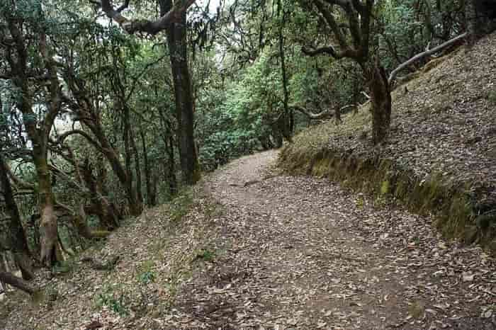 Jageshwar Trekking Route