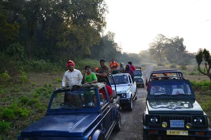 Jungle Safari at Rajaji National Park