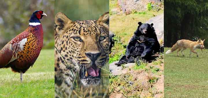 Kalatop Wildlife Sanctuar