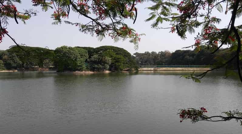 Lake at Lalbagh Botanical Garden