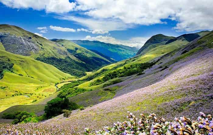 Munnar Hill Station